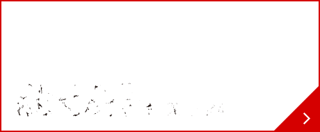 事業内容